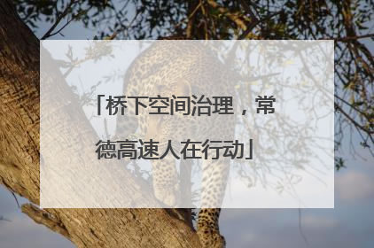 桥下空间治理，常德高速人在行动