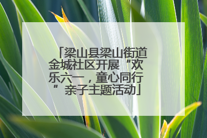 梁山县梁山街道金城社区开展“欢乐六一，童心同行”亲子主题活动