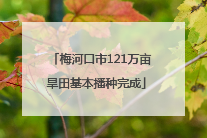 梅河口市121万亩旱田基本播种完成
