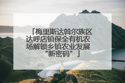 梅里斯达斡尔族区达呼店镇保全有机农场解锁乡镇农业发展“新密码”