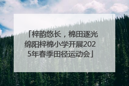 梓韵悠长，棉田逐光 绵阳梓棉小学开展2025年春季田径运动会