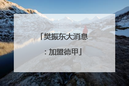 樊振东大消息：加盟德甲