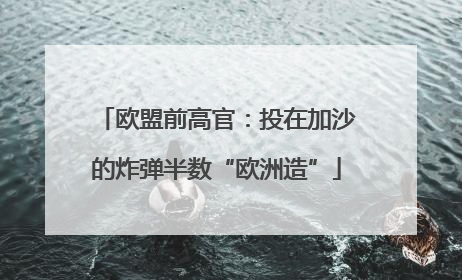 欧盟前高官：投在加沙的炸弹半数“欧洲造”