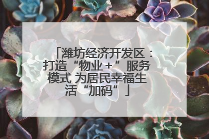 潍坊经济开发区：打造“物业＋”服务模式 为居民幸福生活“加码”