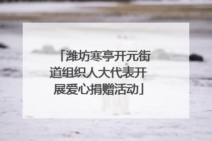 潍坊寒亭开元街道组织人大代表开展爱心捐赠活动