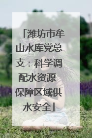 潍坊市牟山水库党总支：科学调配水资源 保障区域供水安全