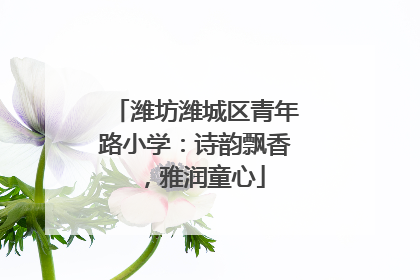 潍坊潍城区青年路小学：诗韵飘香，雅润童心