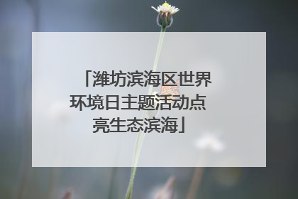 潍坊滨海区世界环境日主题活动点亮生态滨海