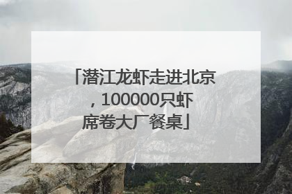 潜江龙虾走进北京，100000只虾席卷大厂餐桌