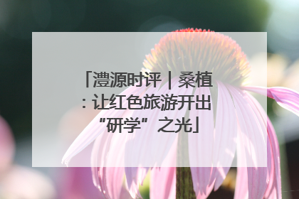 澧源时评｜桑植：让红色旅游开出“研学”之光