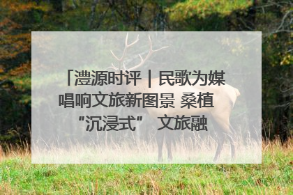 澧源时评｜民歌为媒唱响文旅新图景 桑植 “沉浸式” 文旅融合的破圈启示