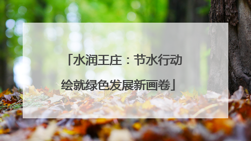 水润王庄：节水行动绘就绿色发展新画卷