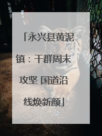 永兴县黄泥镇：干群周末攻坚 国道沿线焕新颜