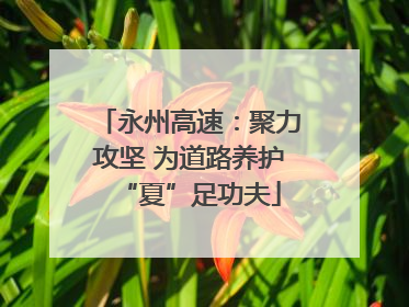 永州高速：聚力攻坚 为道路养护“夏”足功夫
