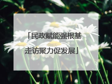 民政赋能强根基 走访聚力促发展