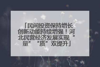 民间投资保持增长 创新动能持续增强！河北民营经济发展实现“量”“质”双提升
