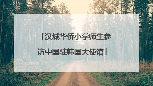 汉城华侨小学师生参访中国驻韩国大使馆