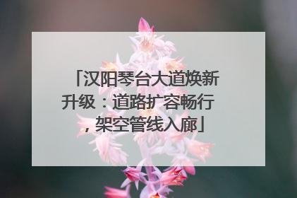 汉阳琴台大道焕新升级：道路扩容畅行，架空管线入廊