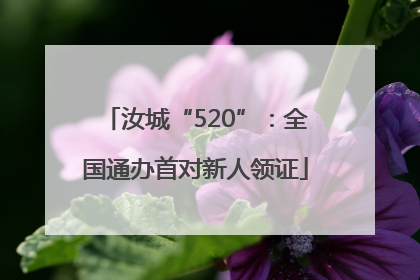 汝城“520”：全国通办首对新人领证