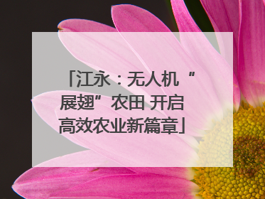江永：无人机“展翅”农田 开启高效农业新篇章