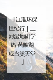 江淮环保世纪行｜三河湿地研学热 黄陂湖成鸟类天堂