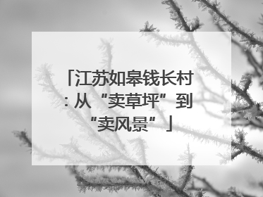 江苏如皋钱长村：从“卖草坪”到“卖风景”