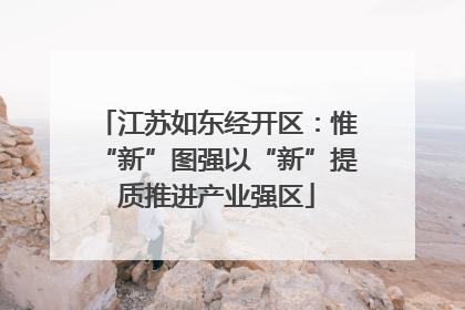 江苏如东经开区：惟“新”图强以“新”提质推进产业强区