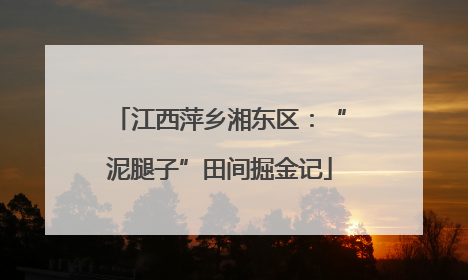 江西萍乡湘东区：“泥腿子”田间掘金记
