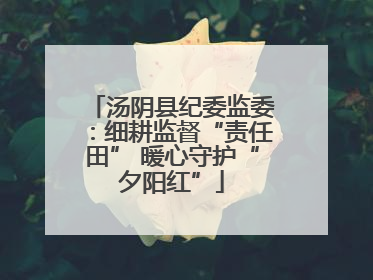 汤阴县纪委监委：细耕监督“责任田” 暖心守护“夕阳红”