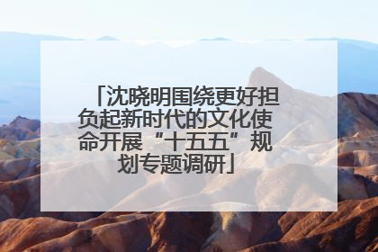 沈晓明围绕更好担负起新时代的文化使命开展“十五五”规划专题调研