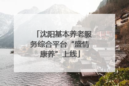 沈阳基本养老服务综合平台“盛情康养”上线