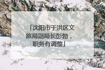 沈阳市于洪区文旅局副局长彭勃，职务有调整