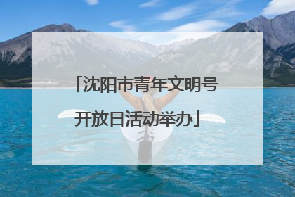 沈阳市青年文明号开放日活动举办