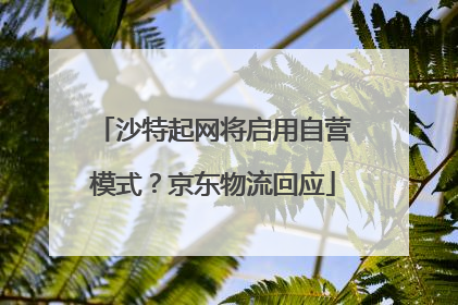 沙特起网将启用自营模式？京东物流回应