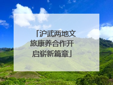 沪武两地文旅康养合作开启崭新篇章