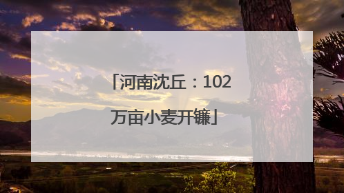 河南沈丘：102 万亩小麦开镰