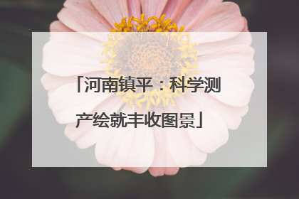 河南镇平：科学测产绘就丰收图景