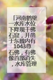 河南鹤壁一水库水位下降现千佛石窟，开凿于东魏内有1043尊石佛，有佛像首部消失，水库管理方回应
