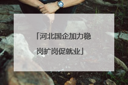 河北国企加力稳岗扩岗促就业