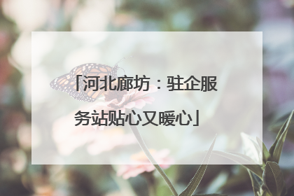 河北廊坊：驻企服务站贴心又暖心