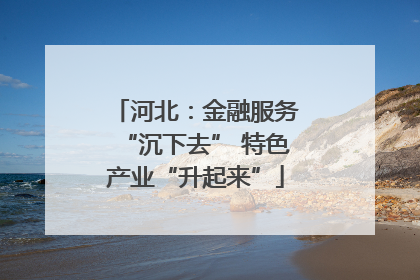 河北：金融服务“沉下去” 特色产业“升起来”