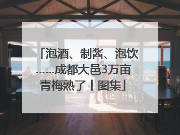 泡酒、制酱、泡饮……成都大邑3万亩青梅熟了丨图集