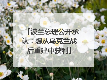 波兰总理公开承认：想从乌克兰战后重建中获利