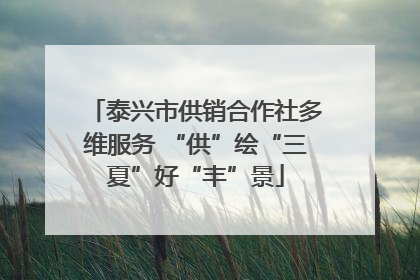 泰兴市供销合作社多维服务 “供”绘“三夏”好“丰”景