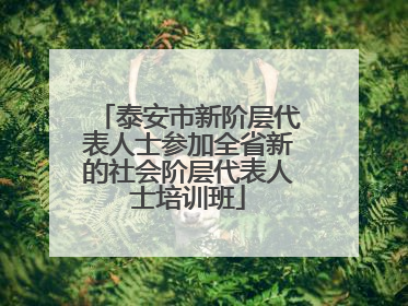 泰安市新阶层代表人士参加全省新的社会阶层代表人士培训班
