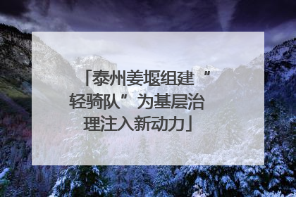 泰州姜堰组建“轻骑队”为基层治理注入新动力