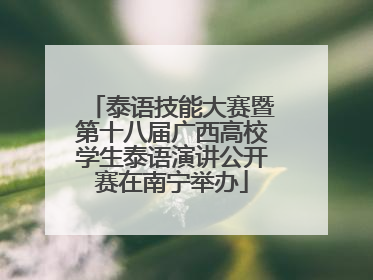 泰语技能大赛暨第十八届广西高校学生泰语演讲公开赛在南宁举办