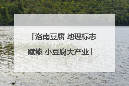 洛南豆腐 地理标志赋能 小豆腐大产业