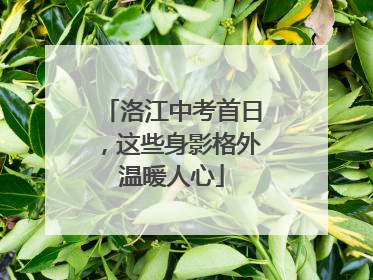 洛江中考首日，这些身影格外温暖人心