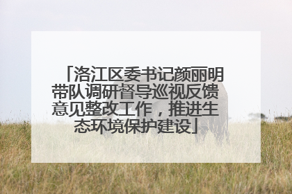 洛江区委书记颜丽明带队调研督导巡视反馈意见整改工作，推进生态环境保护建设